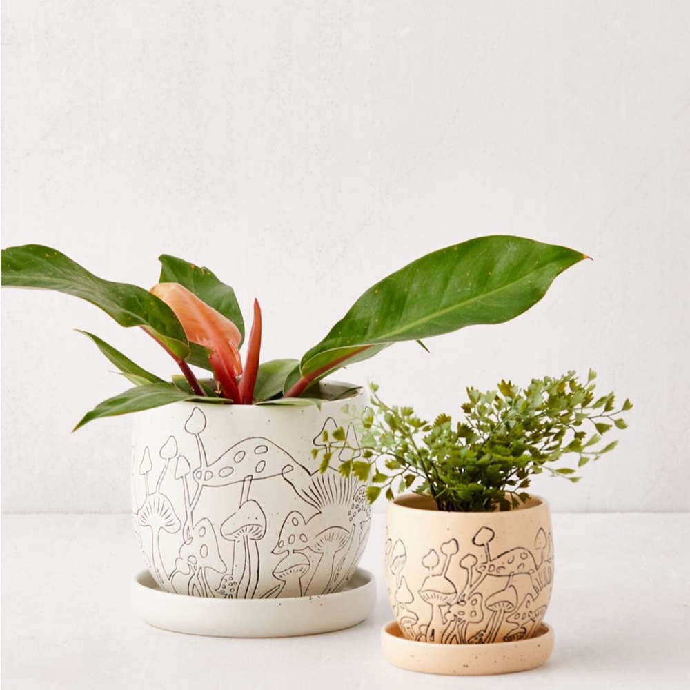 UO Planters
